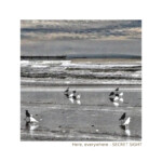 Here, everywhere - Secret Sight